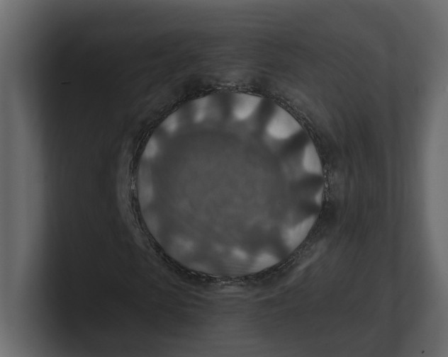 X0000100900913200807151115