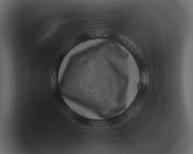 X0000100900915200807151115