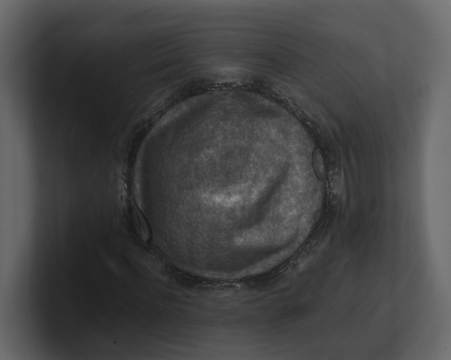 X0000100900916200807151115