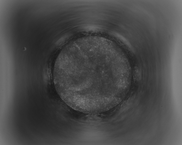 X0000100900918200807151115