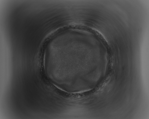 X0000100900919200807151115