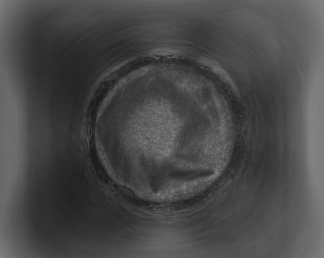 X0000100900920200807151115