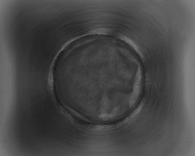 X0000100900923200807151115