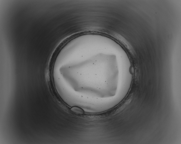 X0000100900924200807151115