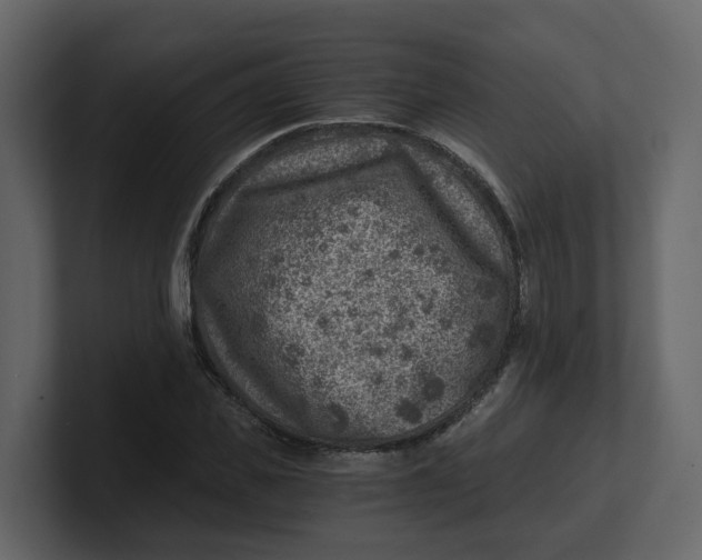 X0000100900925200807151115