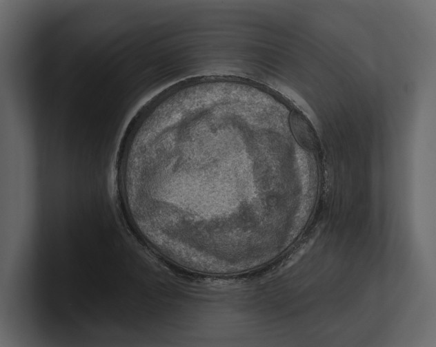 X0000100900928200807151115