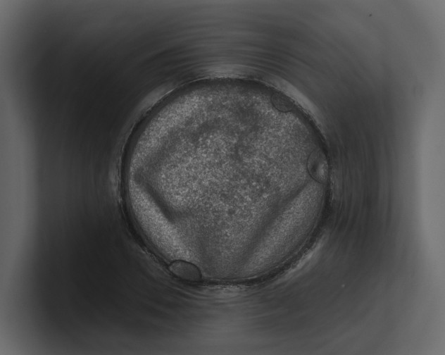 X0000100900930200807151115