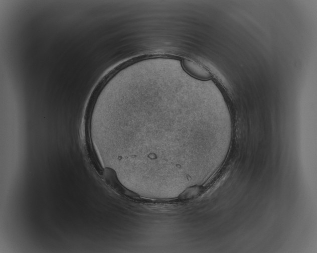 X0000100900932200807151115