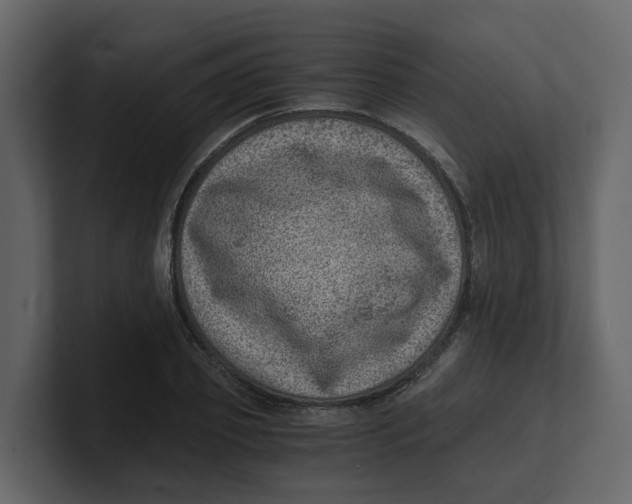 X0000100900933200807151115