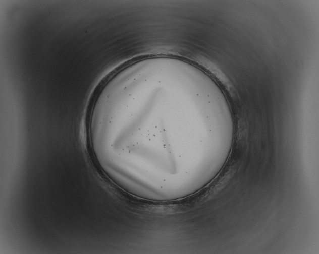 X0000100900936200807151115