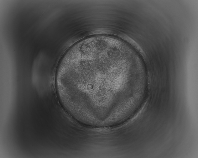 X0000100900937200807151115