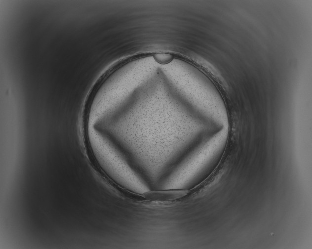 X0000100900942200807151115