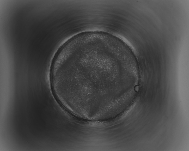 X0000100900943200807151115