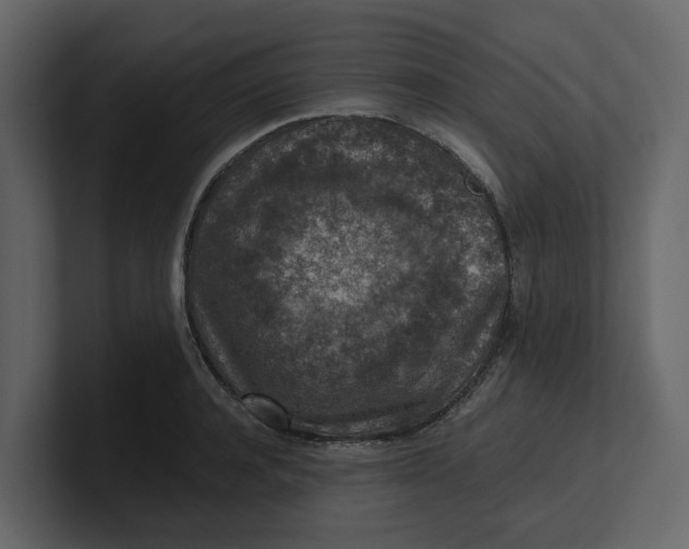 X0000100900944200807151115