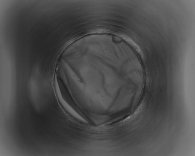 X0000100900945200807151115