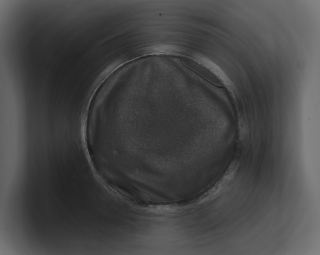 X0000100900946200807151115