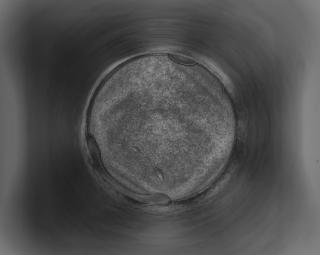 X0000100900948200807151115