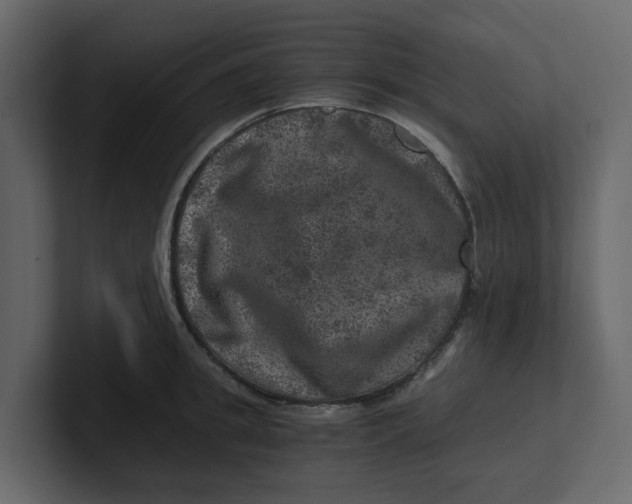 X0000100900949200807151115