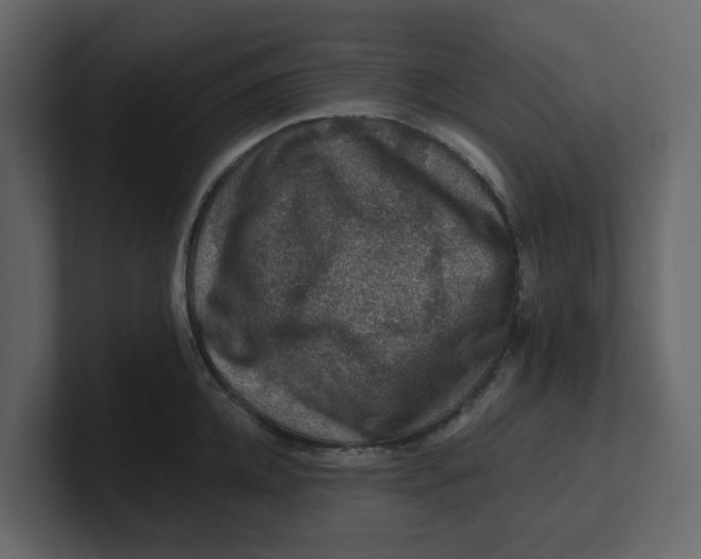 X0000100900952200807151115