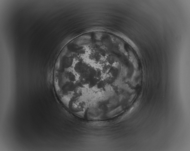 X0000100900953200807151115