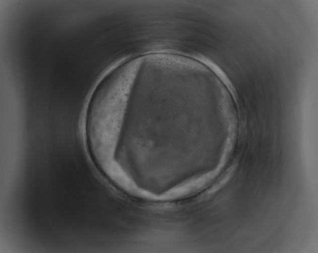 X0000100900957200807151115