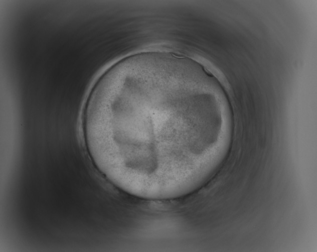 X0000100900960200807151115