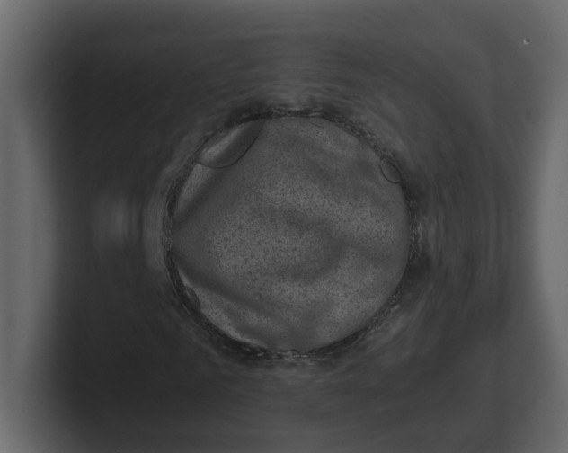 X0000100900961200807151115