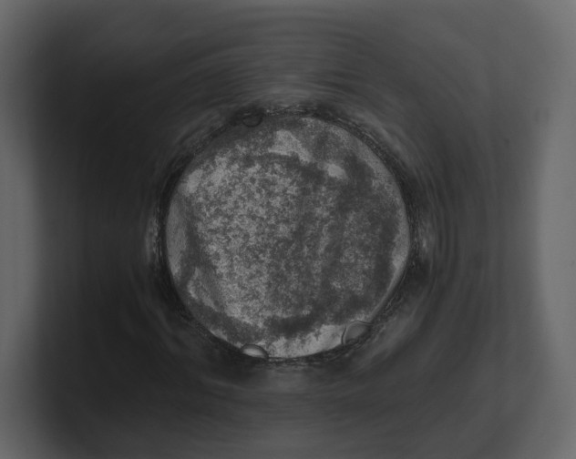 X0000100900964200807151115