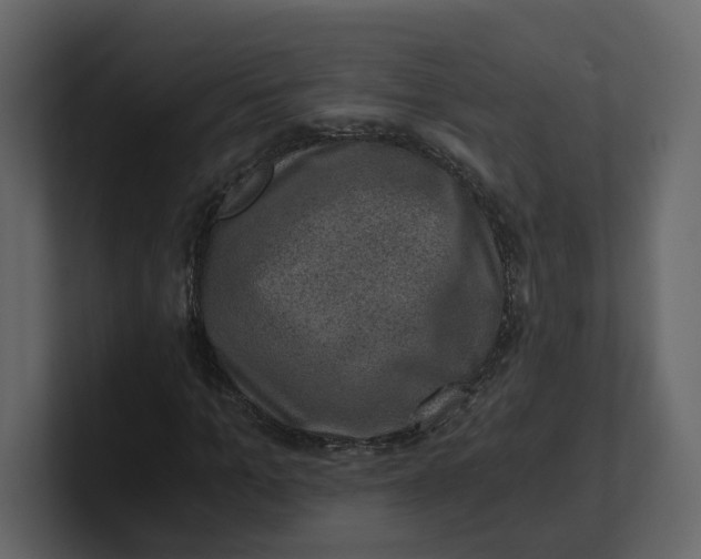 X0000100900965200807151115