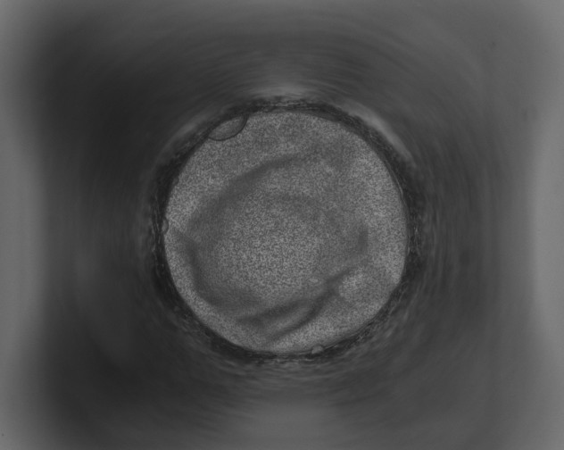 X0000100900967200807151114