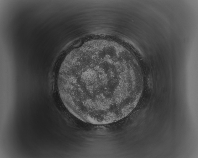 X0000100900968200807151114