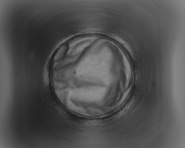 X0000100900973200807151114