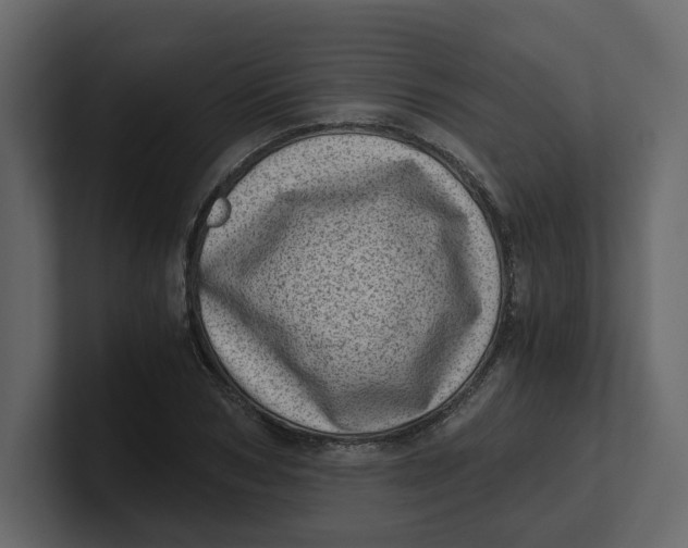 X0000100900978200807151114