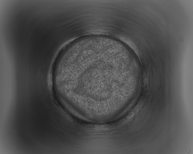 X0000100900979200807151114