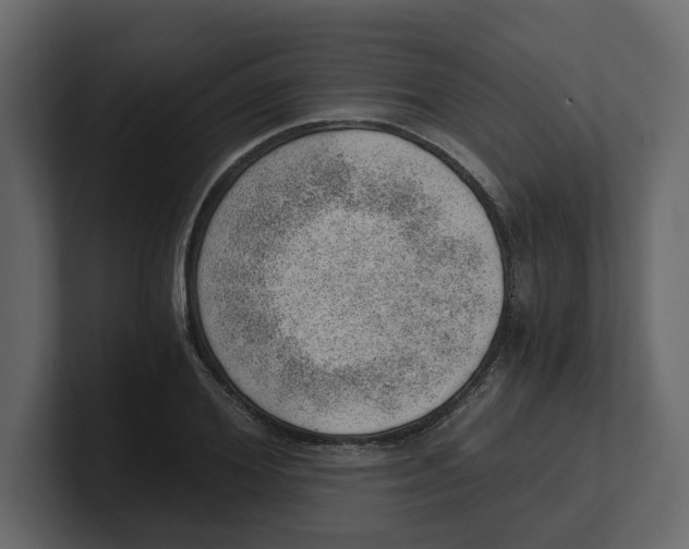 X0000100900980200807151114