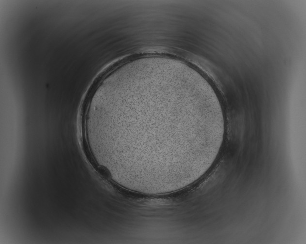 X0000100900984200807151114