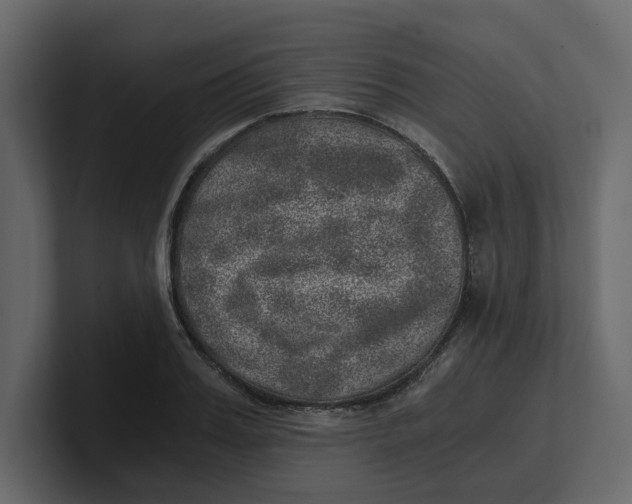 X0000100900987200807151114