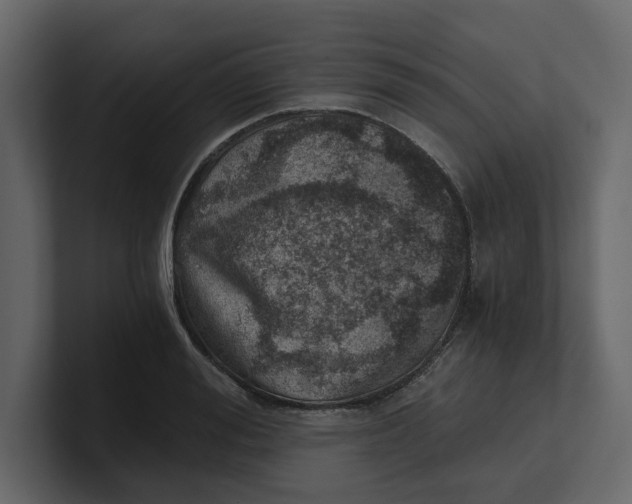 X0000100900988200807151114