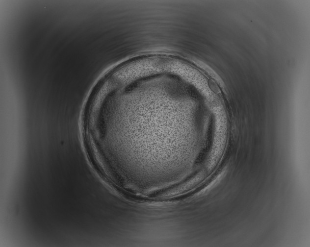 X0000100900989200807151114