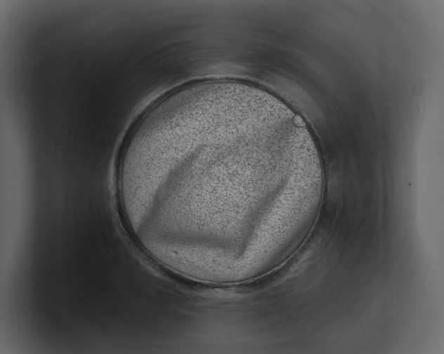 X0000100900990200807151114