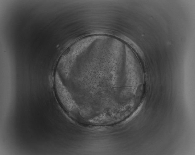 X0000100900993200807151114