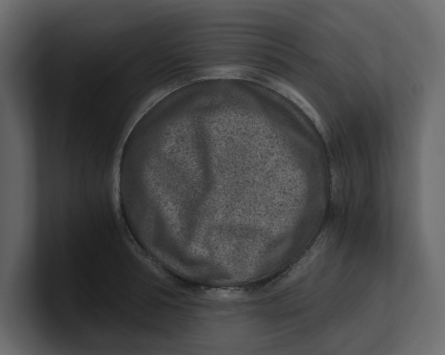 X0000100900994200807151114