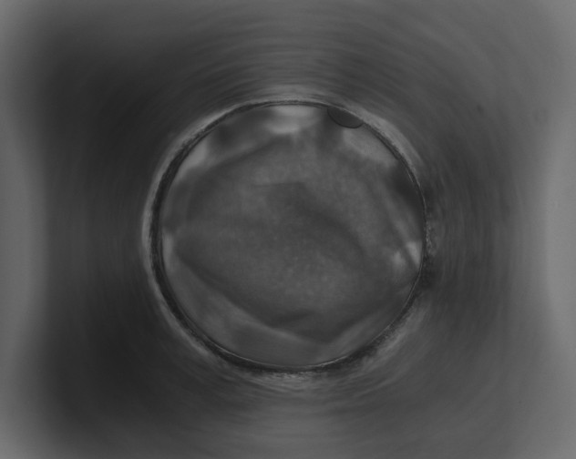 X0000100900995200807151114