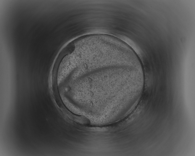 X0000100900996200807151114