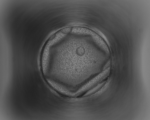 X0000100900997200807151114