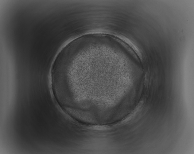 X0000100900998200807151114