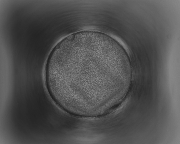 X0000100900999200807151114