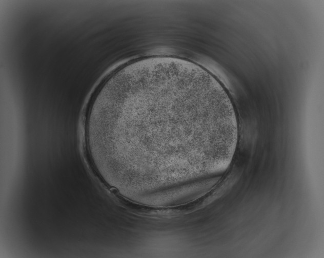 X0000100901000200807151114