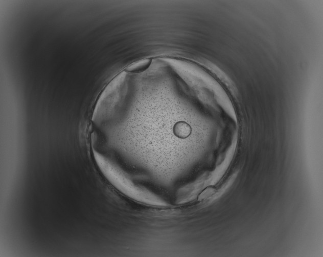 X0000100901001200807151114