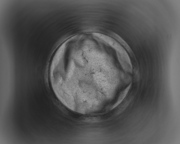 X0000100901002200807151114